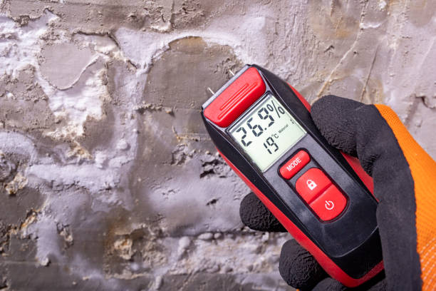 Best Industrial Mold Remediation in Rainbow Lakes, NJ