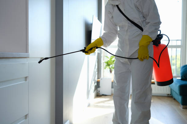 Best Crawl Space Mold Remediation in Rainbow Lakes, NJ