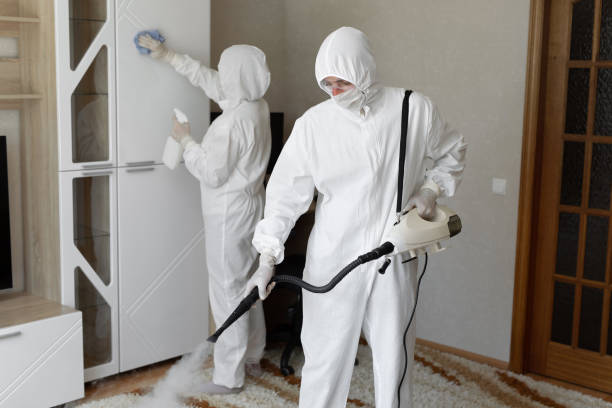 Best Post-Flood Mold Remediation in Rainbow Lakes, NJ